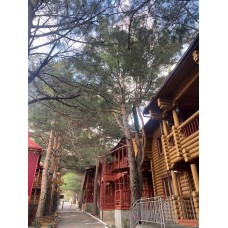 Гостевой дом "Сосновый бор" 